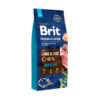 בריט כבש ואורז סנסטיב  – BRIT